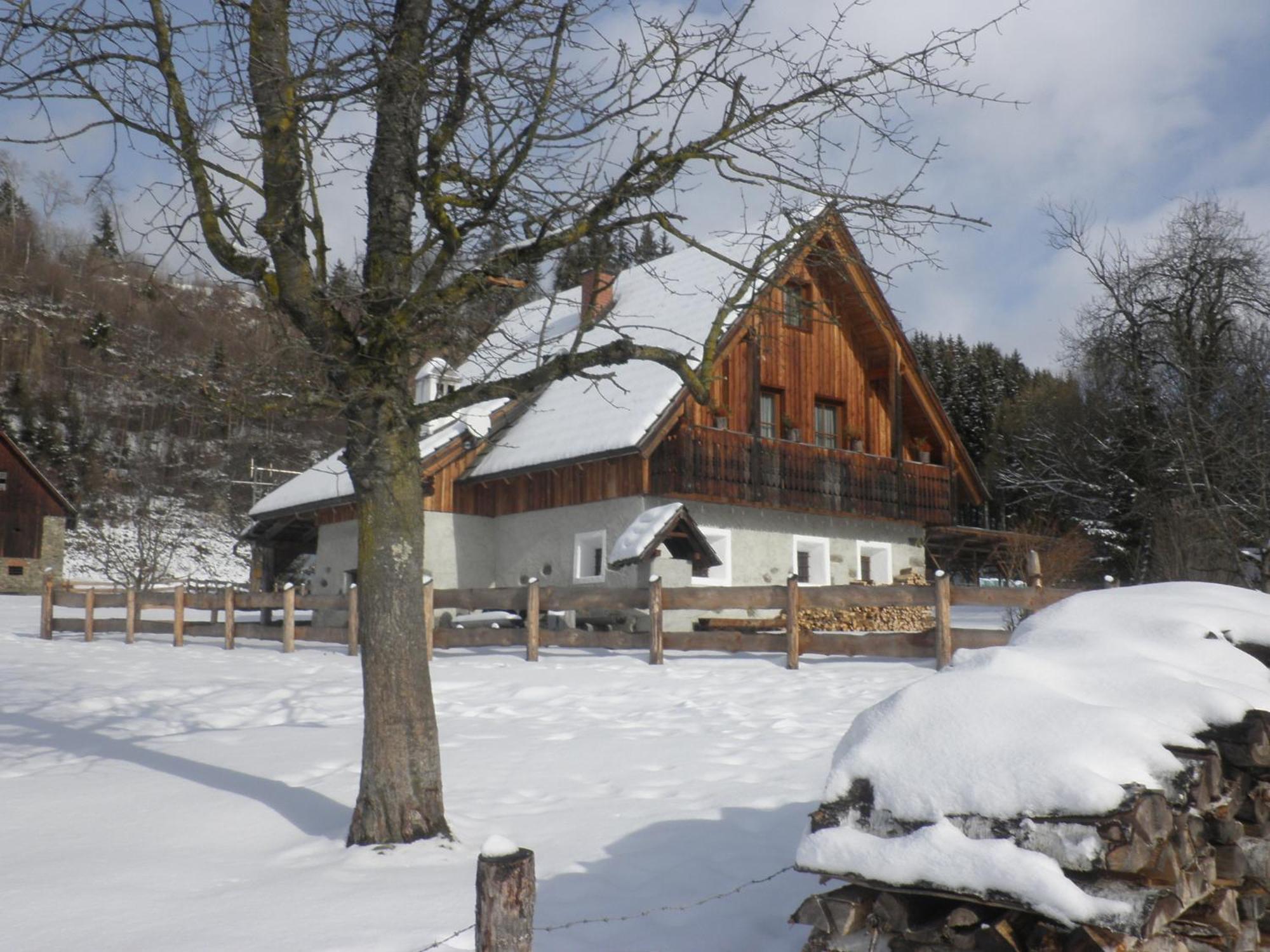 Ferienhaus "Zur Alten Schmiede" Mariahof Exterior photo